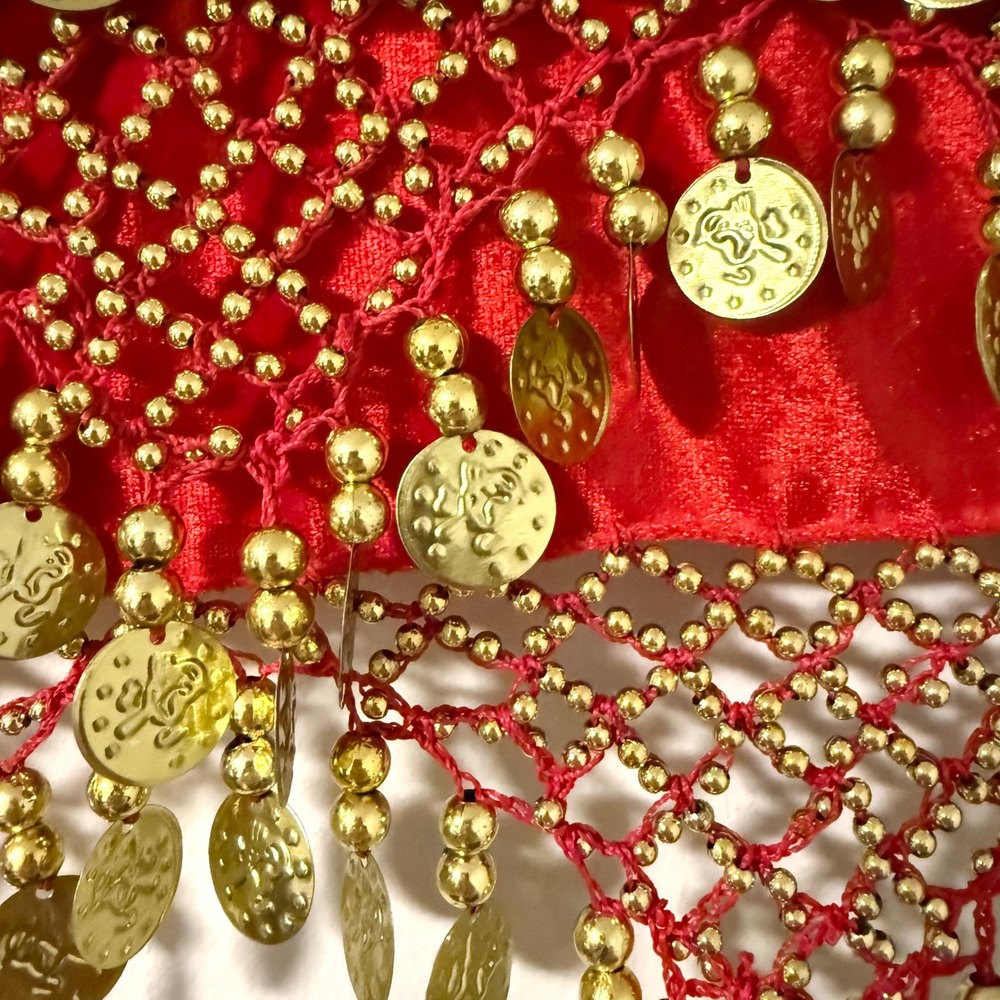 Red Gold Coin Belly Dance Hip Scarf Satin Crochet Mesh Wrap Belt Performance - Picture 5 of 6